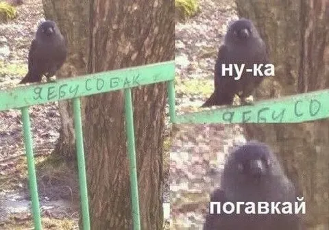 Ну-ка, погавкай
