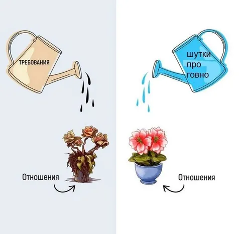 Шутки про говно и отношения