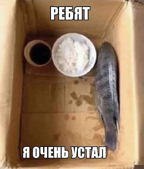Ребят, я очень устал