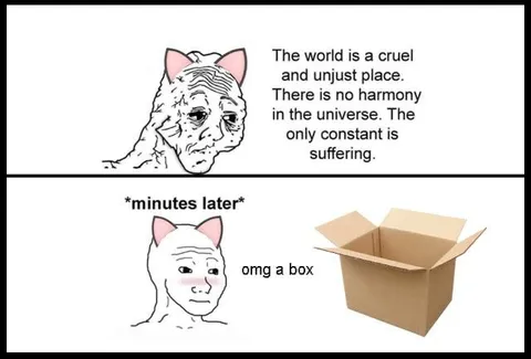 Existential Crisis and a Box