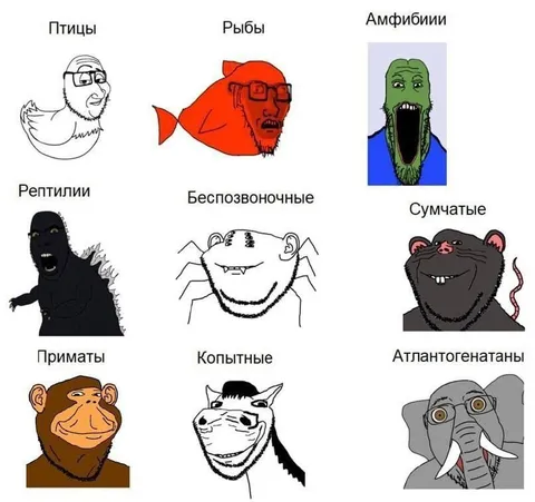 Необычная классификация животных