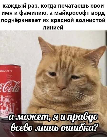 Майкрософт Ворд подчёркивает имя