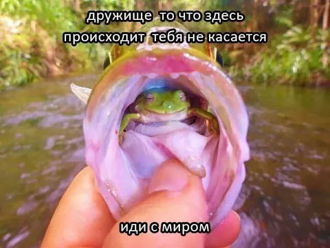 Лягушка в пасти рыбы