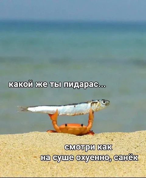 Рыба на суше охуенно