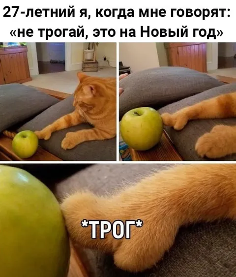 27-летний я трогает яблоко