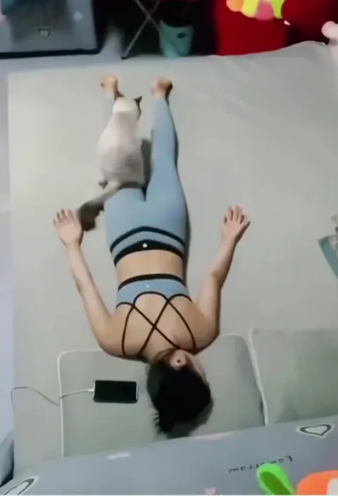 Кот оседлал хозяйку