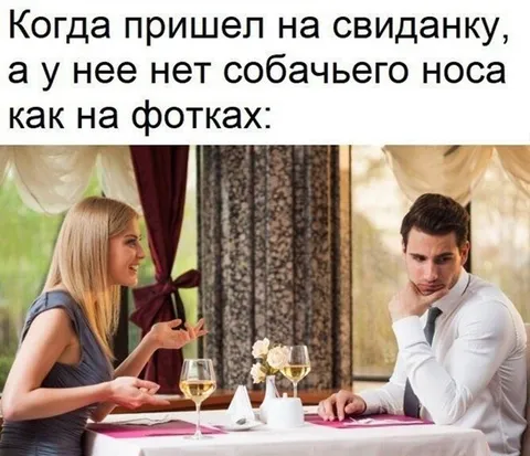 Когда у неё нет собачьего носа