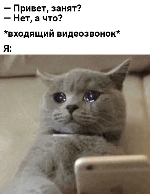 Входящий видеозвонок от занятого человека