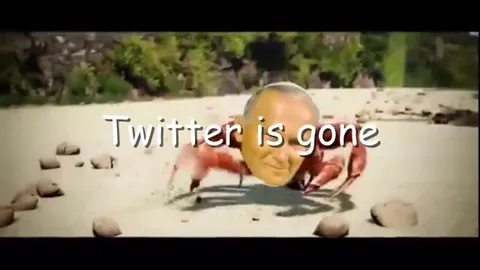 Twitter Is Gone Crab Rave