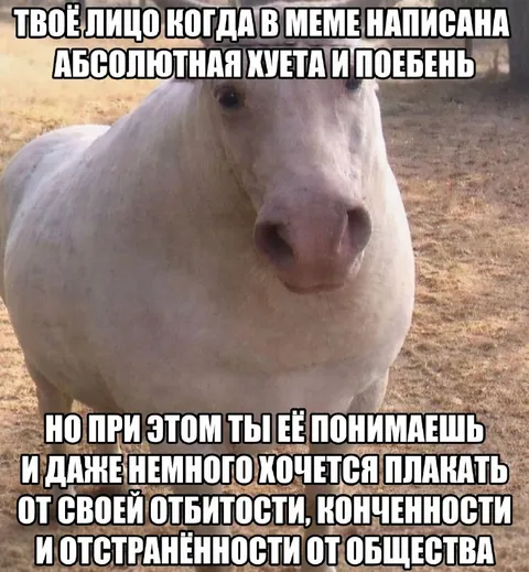 Лошадь понимает абсурд