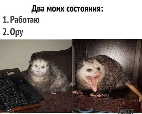 Два моих состояния: работаю и ору