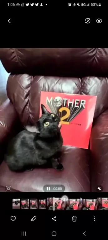 Cat Sings MOTHER 2