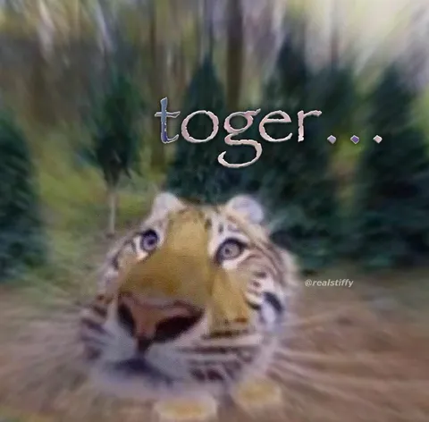 Toger Tiger Reaction