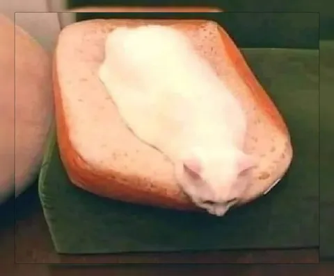 Мышь на батоне