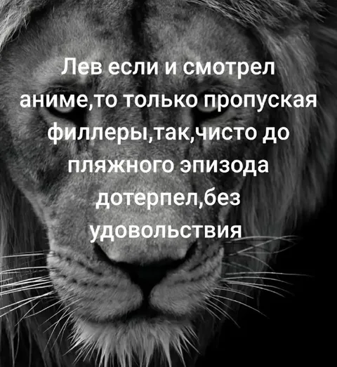 Лев, переживший филлеры