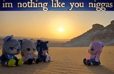 I'm Nothing Like You Niggas