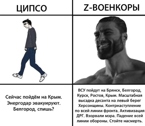 ЦИПСО против Z-военкоров