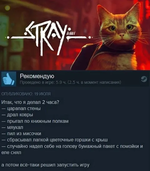 Кот наконец запустил игру
