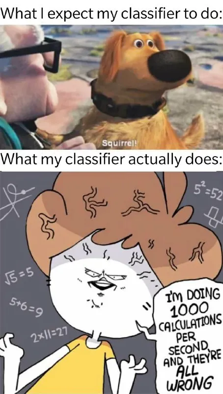 Classifier Squirrel vs Wrong Calculations