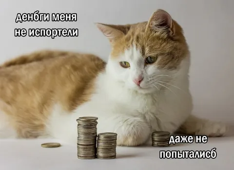 Кот и неиспорченные деньги