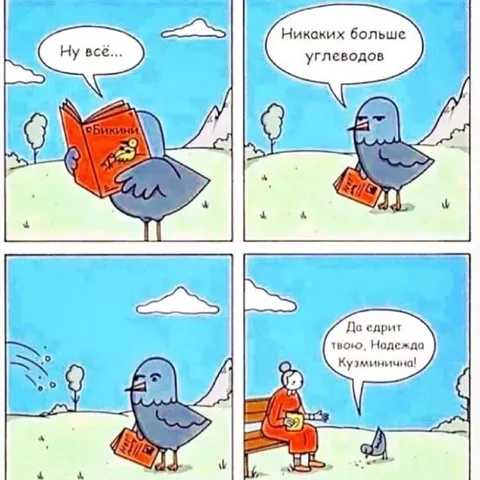 Голубь отказался от углеводов