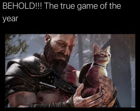 The True Game of the Year