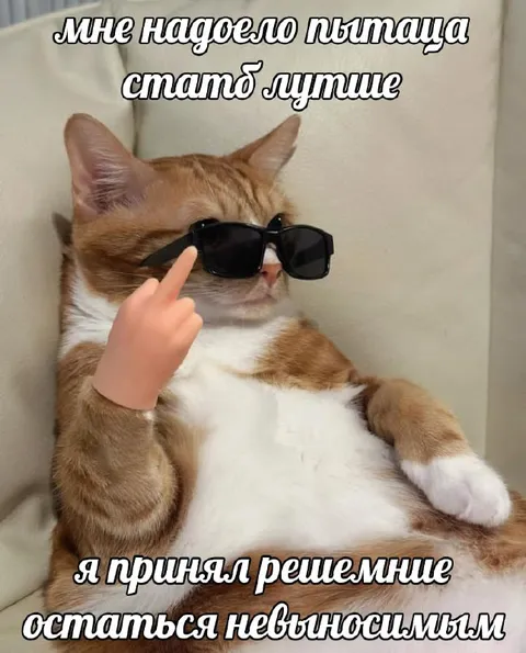 Кот решил остаться невъебуимым