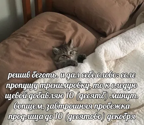 Завтрашняя пробежка до декабря
