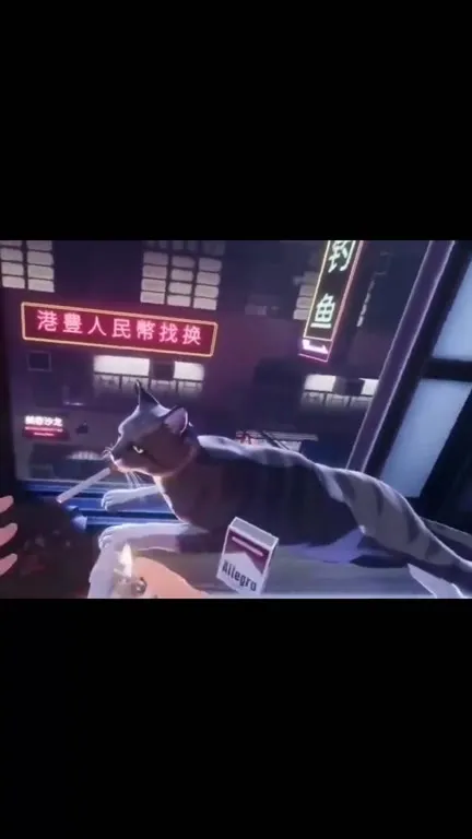 猫咪突然化作烟雾