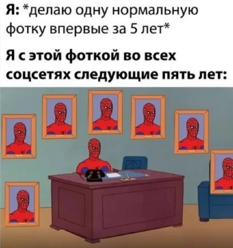 Одна нормальная фотка на пять лет