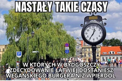 Wegański burger zamiast wpierdolu