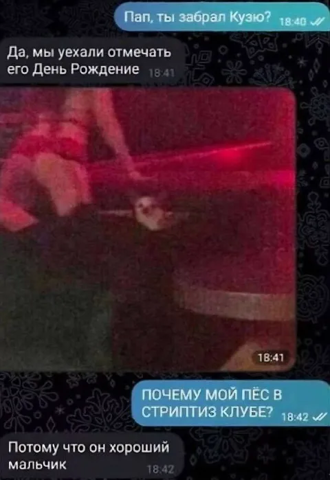 Пёс в стриптиз-клубе