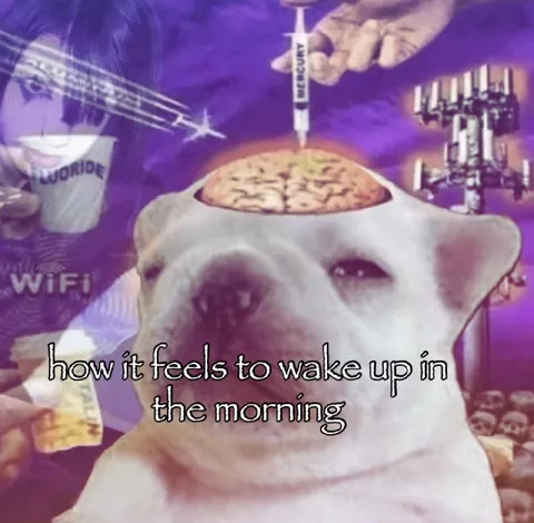 Waking Up in the Morning