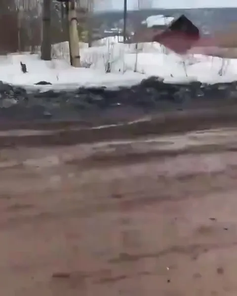 Зимняя прогулка по грязи