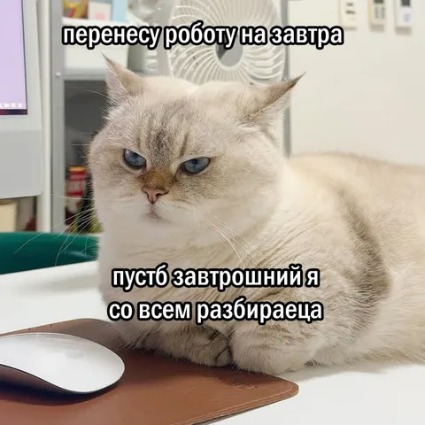 Перенесу работу на завтра