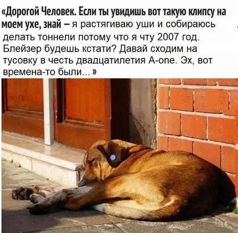 Тоннели и двадцатилетие A-one