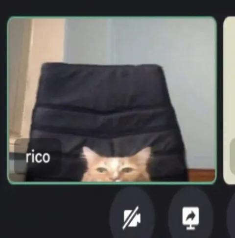 Rico aparece en la videollamada
