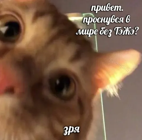Проснулся в мире без ТэЖэ