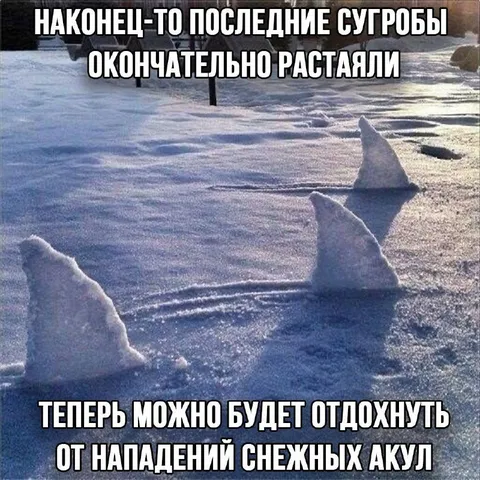 Нападение снежных акул