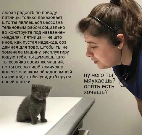 Пятница и хомячок в клетке