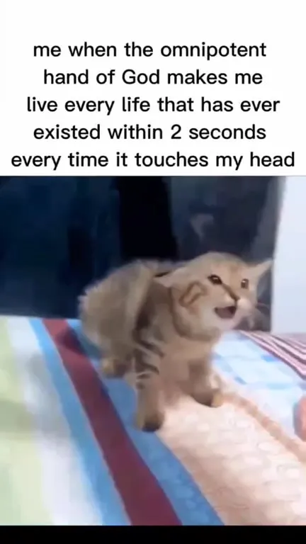 Kitten Lives Every Life