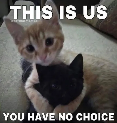 This Is Us You Have No Choice