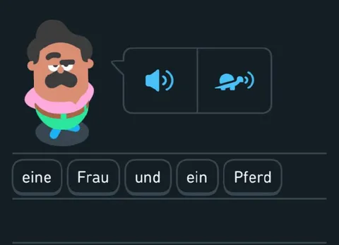 Eine Frau und ein Pferd
