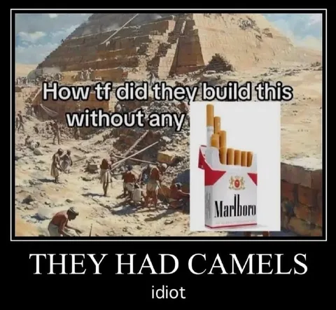 They Had Camels