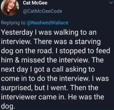 The Interviewer Was the Dog