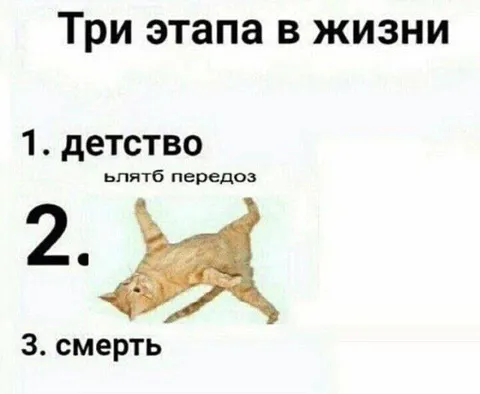 Три этапа в жизни кота