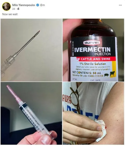 Now We Wait for Ivermectin