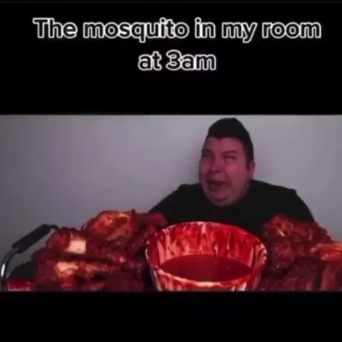The Mosquito at 3am