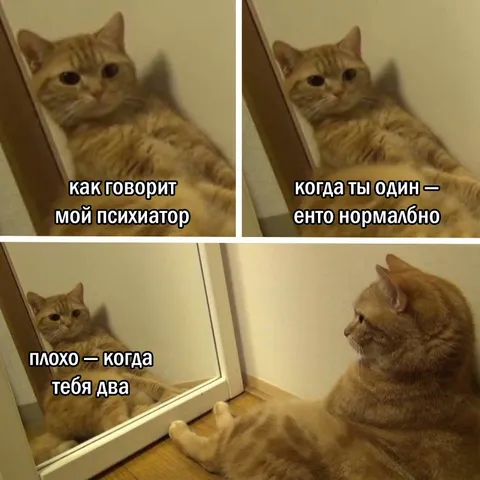 Кот разговаривает с психиатром