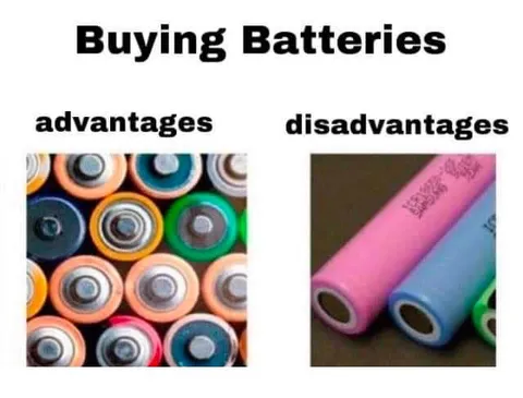 Buying Batteries Advantages and Disadvantages